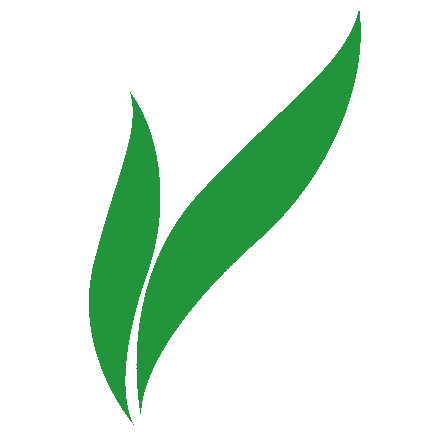 HYPE-CLEAN Logo